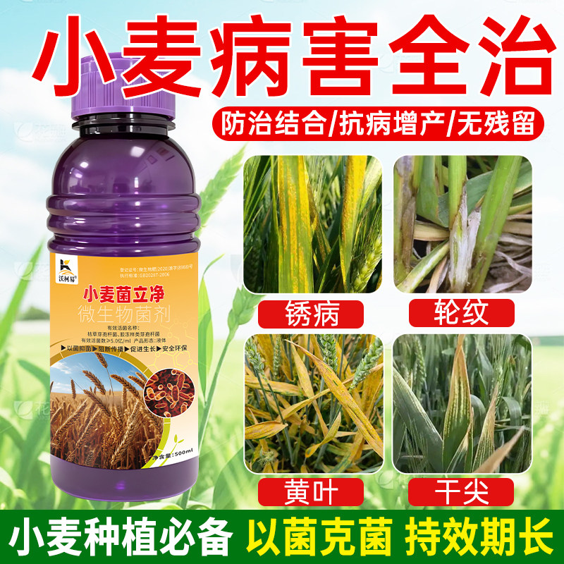 小麦专用菌立净黄叶霜霉基腐白粉黑穗全是纹枯锈病根腐病杀菌剂