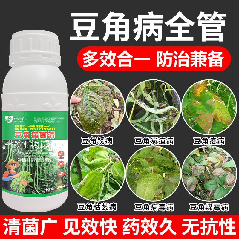 豆角病专用药国家专利生防菌技术豆角锈病炭疽青枯根腐叶斑病毒病