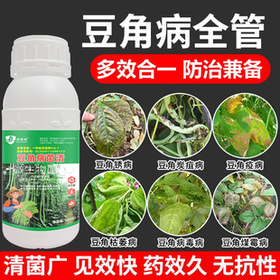 豆角病专用药国家专利生防菌技术豆角锈病炭疽青枯根腐叶斑病毒病