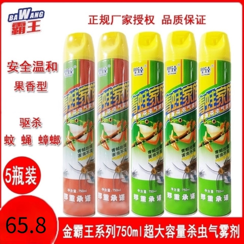杀虫气雾剂圣达金霸王750ml