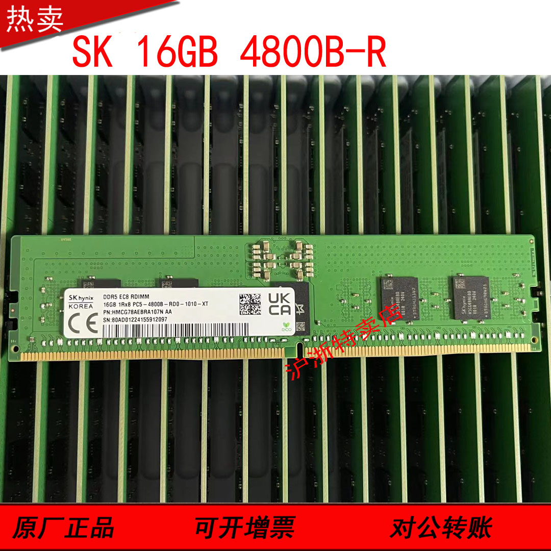 全新SKhynix现代海力士16GB 1RX8 PC5-4800B-RD0-1010服务器内存 电脑硬件/显示器/电脑周边 内存 原图主图