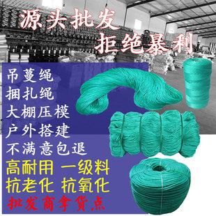 绳子吊秧绳蔬菜大棚专用吊蔓绳户外绳尼龙绳农用生产用绳厂家直邮