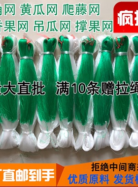厂家直供爬藤网攀爬网撑果网豆角吊瓜丝瓜苦瓜黄瓜架百香果沃柑网