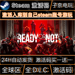 严阵以待 STEAM游戏激活码全球区CDK 永久入库 全DLC 包更新