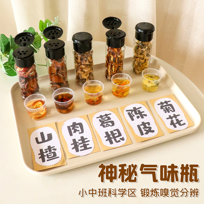 幼儿园中大班气味瓶科学区域实验小朋友可训练自制教玩具专用材料