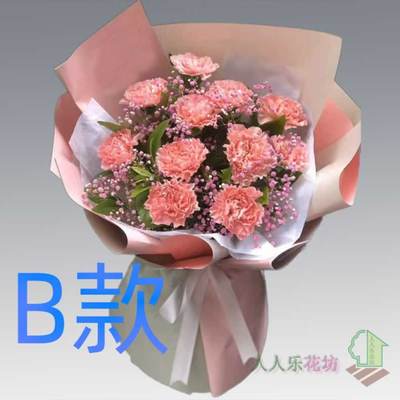 生日探望康乃馨陕西安康花店送花平利县镇坪县旬阳县同城鲜花快递
