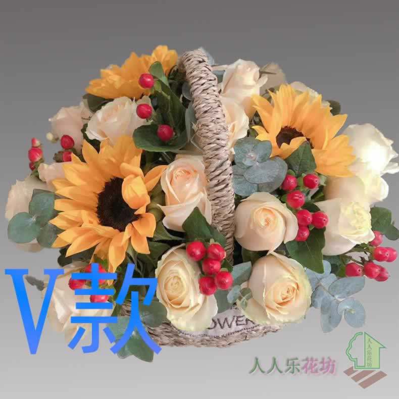 生日纪念康乃馨湖南怀化花店送花靖州县通道县洪江市同城鲜花速递