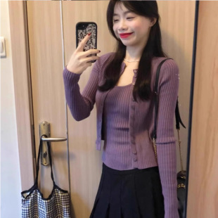 韩系软糯亲肤细腻小个子针织衫女春秋复古刺绣设计感小众毛衣上衣