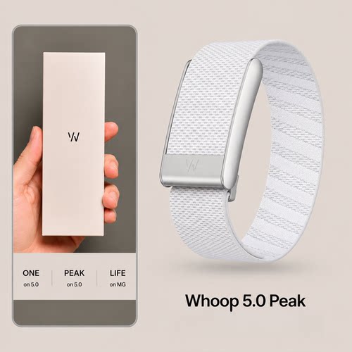 WHOOP亮银框编织弹力运动表带