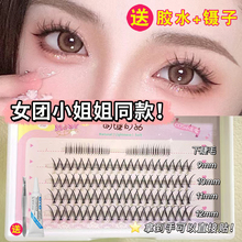 V型假睫毛+下睫毛混合装自然仿真韩国女团款单簇分段式嫁接小恶魔