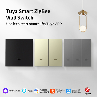 涂鸦APP智能控制Zigbee插座面板smart life复合语音控制零火全屋