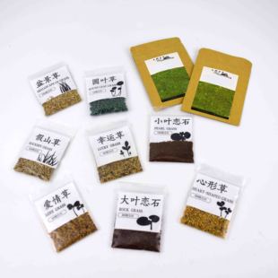 上水石盆景吸水石花草植物树微景观假山上种的绿色造景草籽草种子