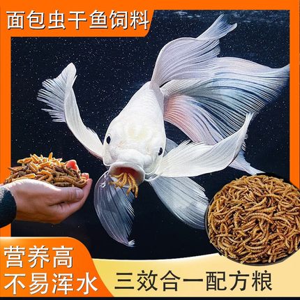 蝴蝶鲤通用饲料鱼食高蛋白通用上浮冷水观赏鱼锦鲤兰寿面包虫干
