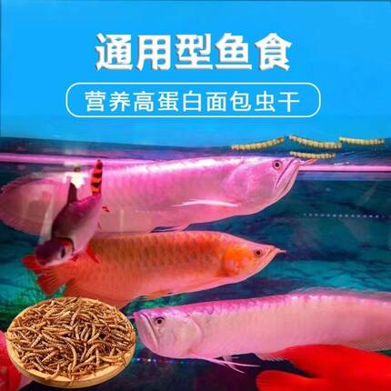 龙鱼银龙鱼饲料专用上浮鱼食七彩红龙鱼金龙颗粒高蛋白鱼粮通用