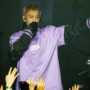 香港正品稀有hba hood by air短袖GALI同款T恤紫罗兰(单件短袖)