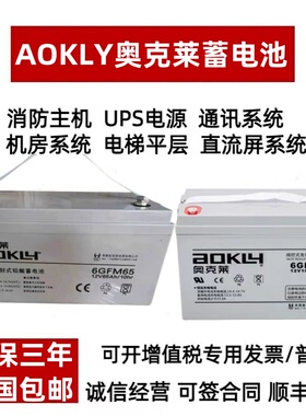 AOKLY奥克莱蓄电池6FM-38 12V18A20A24A38A40A65A100AH直流屏UPS
