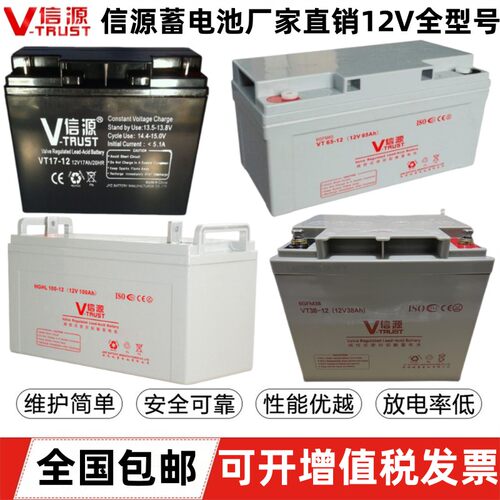 信源蓄电池VT12V17A24A33A38A40A55A65A100A120AH直流屏UPS/EPS