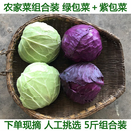 农家新鲜现摘包菜卷心菜莲花白紫包菜绿甘蓝紫甘蓝蔬菜组合