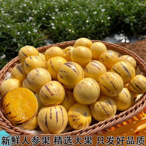 现摘新鲜人参果人生果黄心黄肉薄皮新鲜圆果低糖黄肉大果整箱包邮