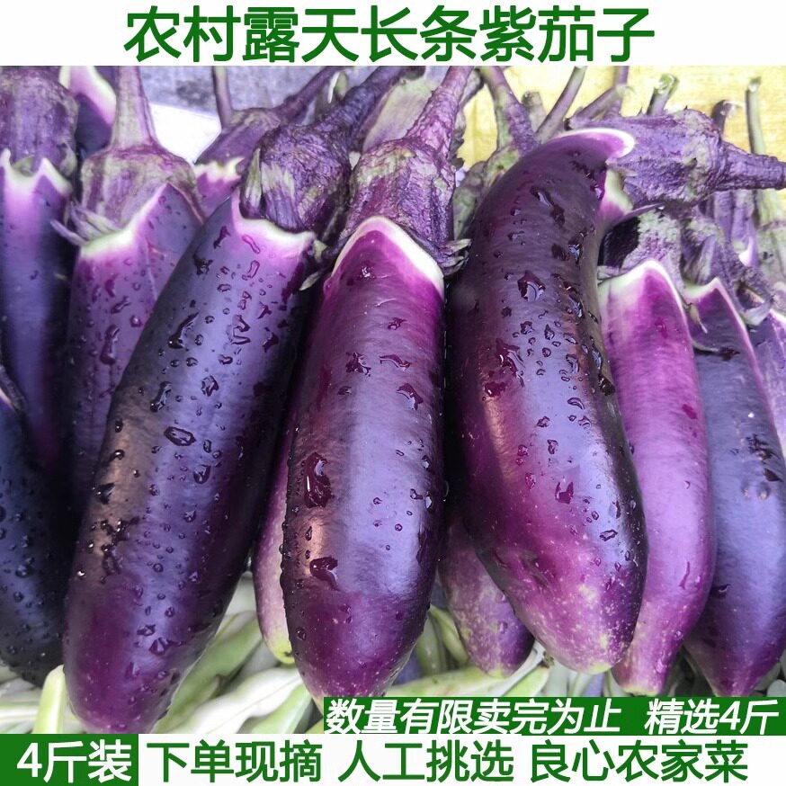 湖北农家老品种本地茄子紫茄子新鲜黑紫长线茄子蒜茄子材料包邮