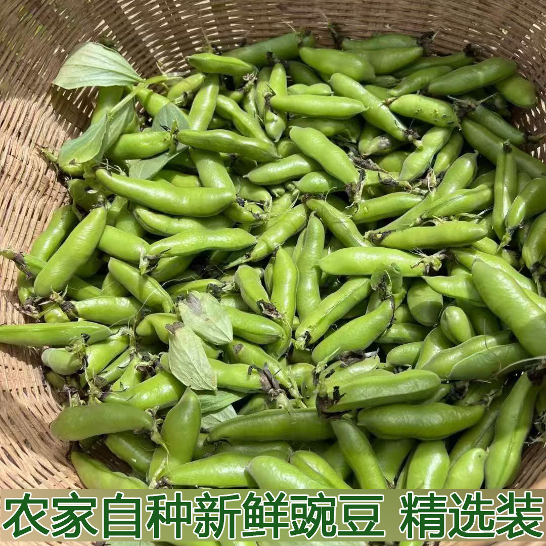 湖北农家新鲜生大绿心带壳蚕豆米嫩胡罗汉豆角青豆夹时令蔬菜包邮