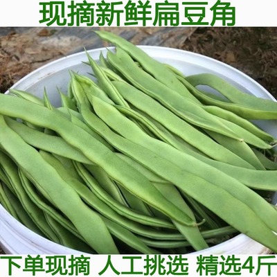 青扁豆芸豆角芸豆刀豆扁农家