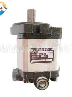 适用雷沃欧豹拖拉机后桥前桥变速箱液压悬挂配件TB1C55齿轮泵