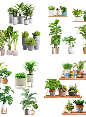 3d立体小清新绿植遮丑墙贴纸北欧仿真盆栽装饰遮污垢划痕墙贴画