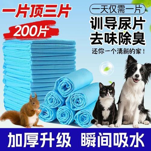 狗狗尿垫加厚宠物诱导尿片