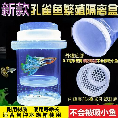 孵化隔离密网小号套装繁殖盒斗鱼