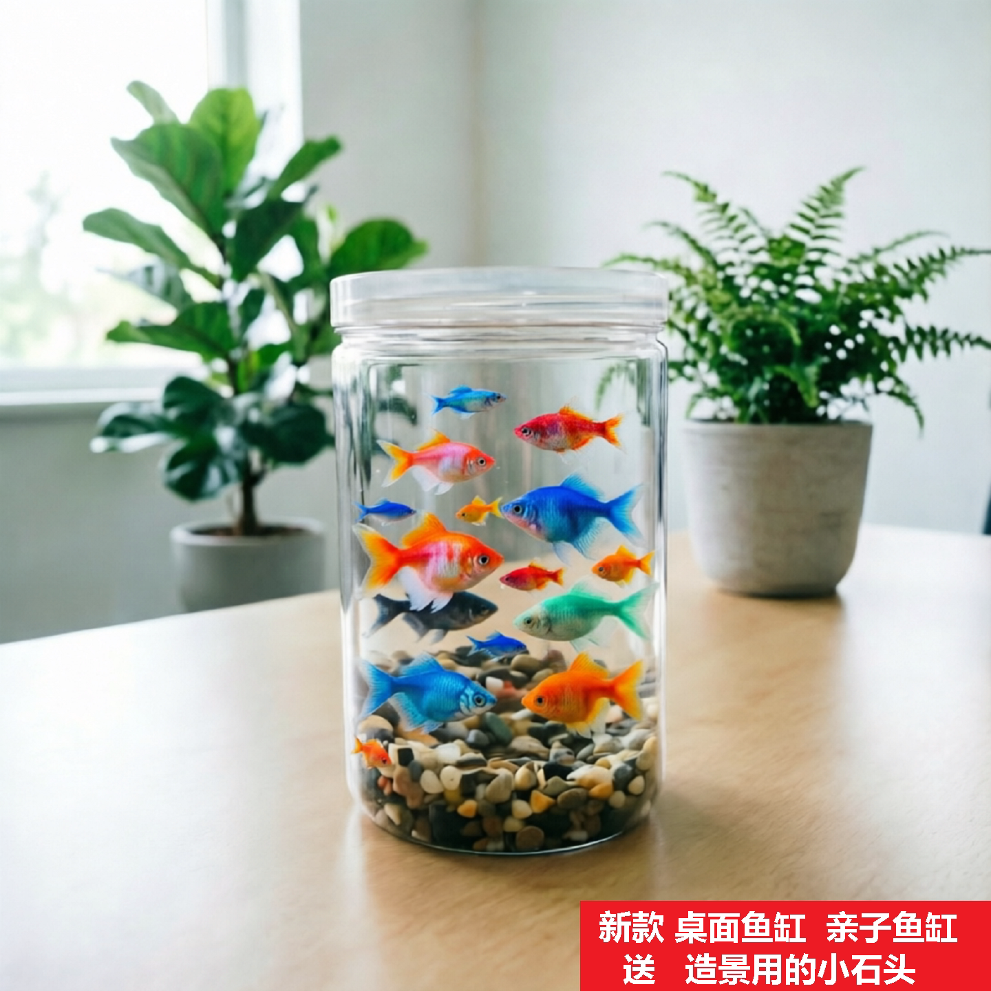 迷你生态鱼缸解压治愈懒人小鱼缸
