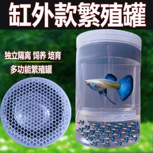 孔雀鱼繁殖隔离盒独立产卵桶母鱼孵化网产房小鱼幼鱼隔离透明产箱