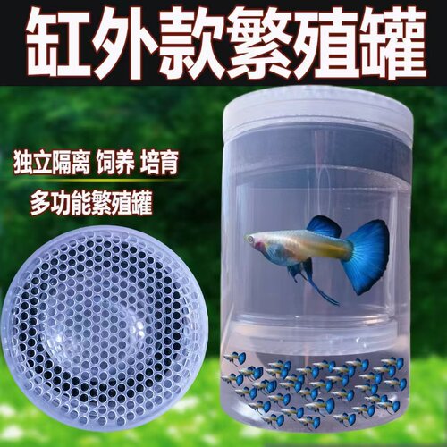 新款独立产卵桶母鱼繁殖孵化产房