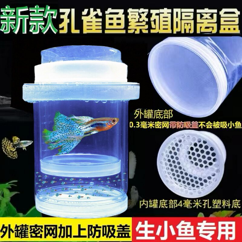 新款孔雀鱼繁殖盒水花针苗孵化盒图片
