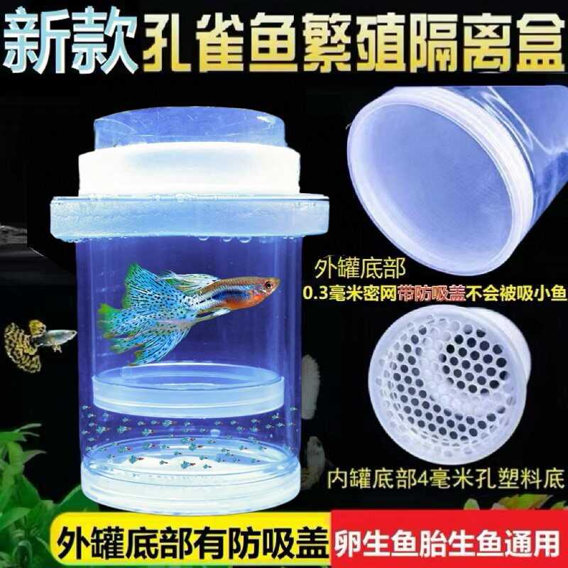 新款孔雀鱼繁殖罐小鱼孵化繁殖盒图片