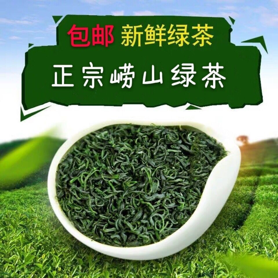 崂山绿茶今年新茶浓香耐泡清香