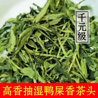 【千元级】新茶抽湿鸭屎香茶头茶梗凤凰单丛绿茶宋种大乌叶单枞茶