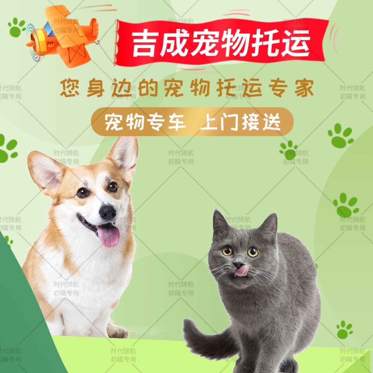 宠物托运服务全国上海北京广州江苏沈阳山东重庆专车接送猫咪狗