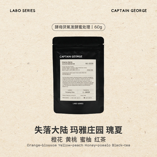 Labo系列巴拿马失落大陆玛雅庄园礼盒瑰夏手冲咖啡豆60g 乔治队长