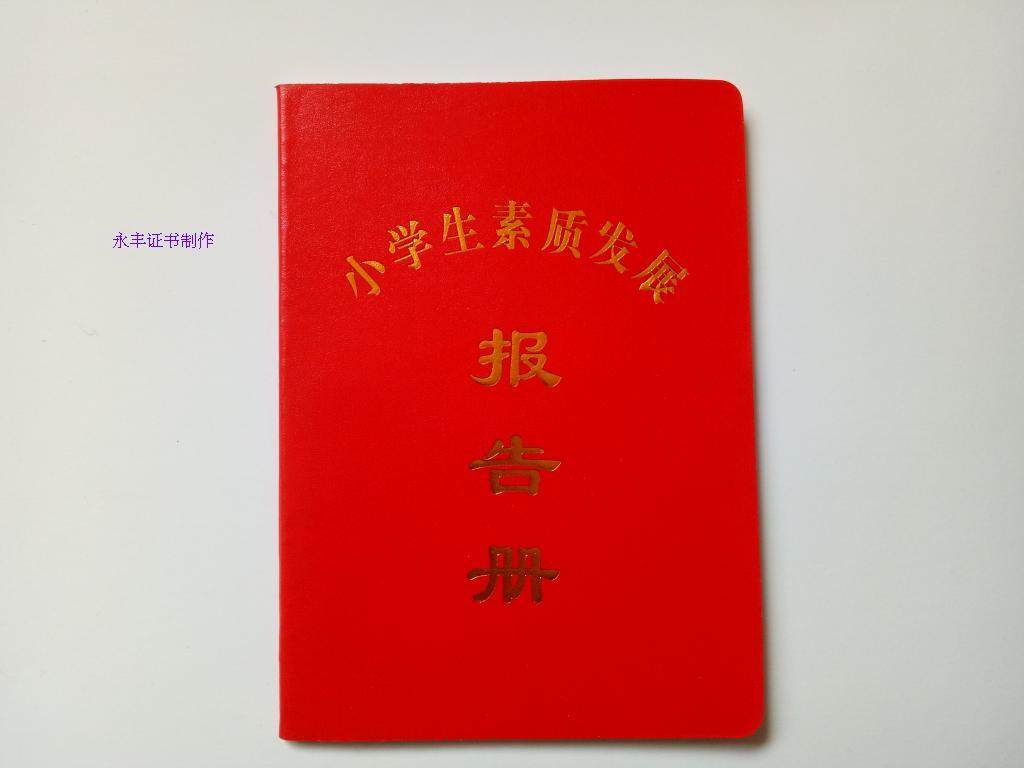 中小学生素质报告册/发展/评价/综合素质手册/报告单/书