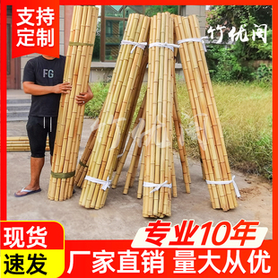 竹竿围栏户外粗细防腐竹篱笆装修竹杆竹吊顶毛竹杆子装饰隔断室内