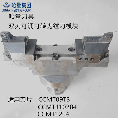 正品成量/哈量21CD双刃可调可转位镗刀模块21CD.100-TS80196-100