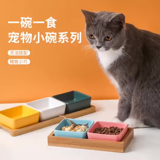 仓鼠碗陶瓷防打翻防咬金丝熊西施熊幼猫迷你小体犬食盆小猫咪碟子