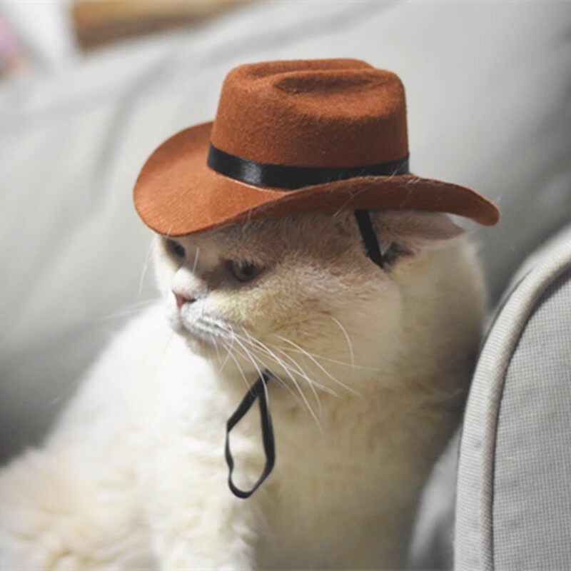 宠物帽子西部牛仔猫咪扮酷三角巾项圈道具牛仔帽狗狗搞怪变身装