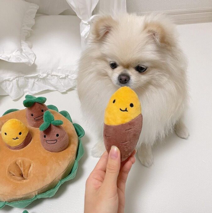 现货韩国拔地瓜番薯套装宠物玩具BB叫 柴犬比熊狗狗藏食玩偶