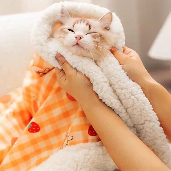 猫咪狗狗毛毯睡觉棉垫幼犬幼猫毯子宠物用品羊羔绒保暖猫狗垫子