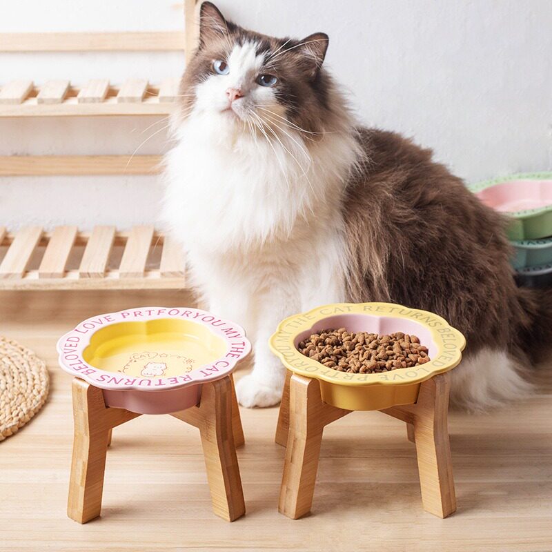 猫碗陶瓷花边ins防黑下巴猫罐头狗食盆狗粮碗猫咪防打翻高脚木架