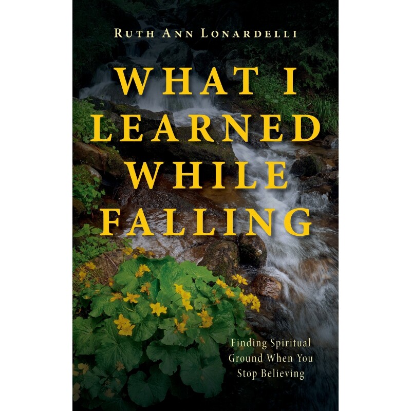按需印刷不退不换What I Learned While Falling[9781643888644]