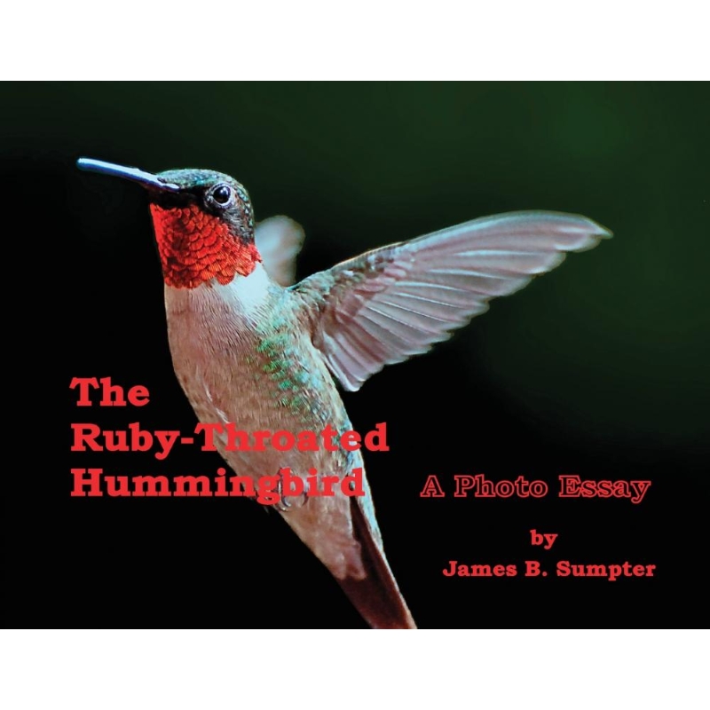 预订，预计下单后2-3周左右发货！