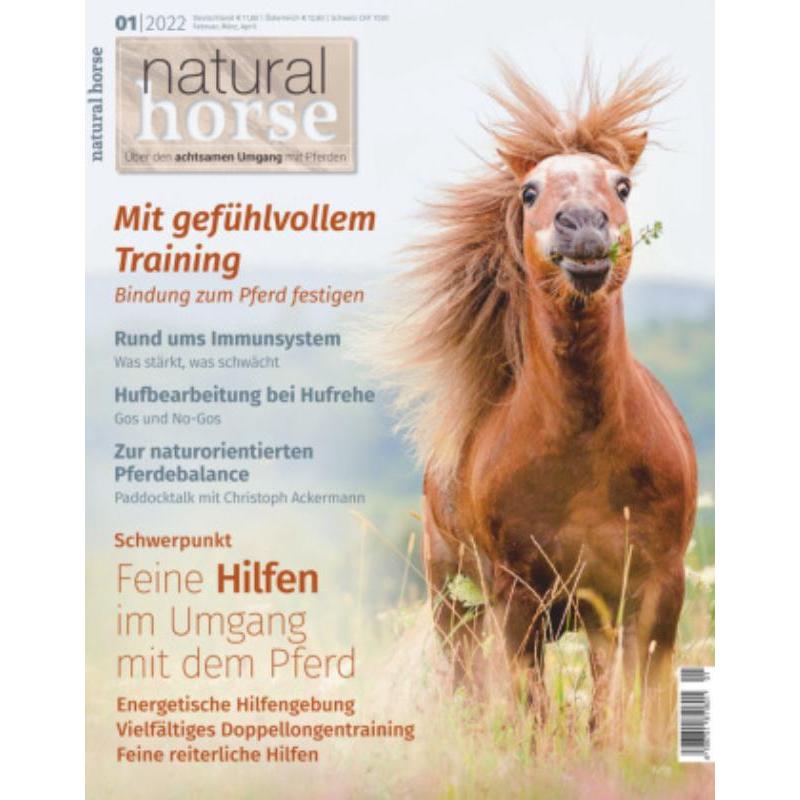 预订，预计下单后3-6周左右发货！